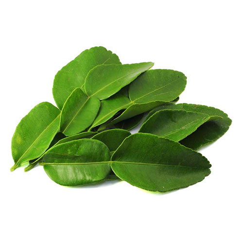 Kaffir Lime Leaf (1 bunch) - ใบมะกรูด